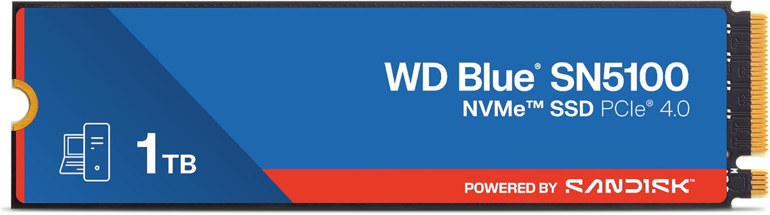 WDS100T5B0E.jpg